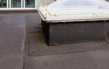 disadvantages of Drewsteignton flat roofs
